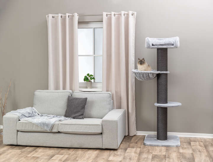 TRIXIE Kratzstamm Mauro